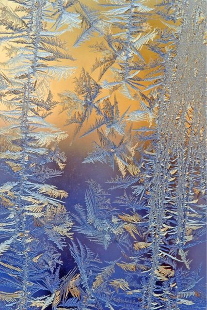Glace