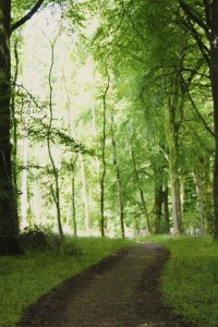 Tracer son chemin...